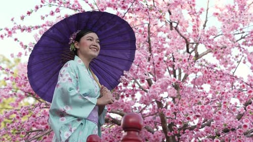 Woman in Kimono with Parasol by Cherry Blossoms