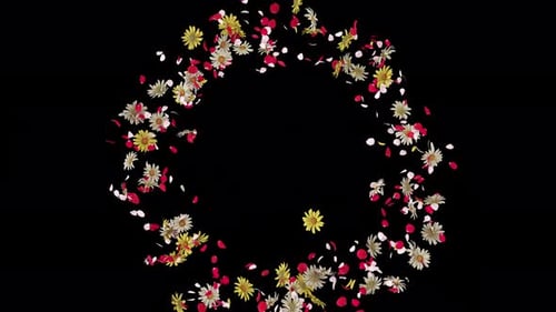 Realistic Falling Flowers and Petals Overlay