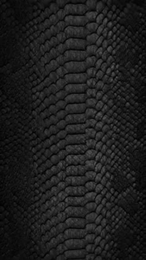 snake skin texture close up background Vertical video