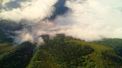Nebliges Bergtal