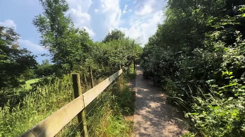 Walking on Fenced Trail Surrounded by Greenery