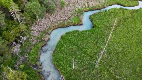 Aerial drone shot of a winding stream cutting through lush green meadow bordered by forest.