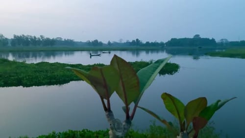peaceful and calm atmosphere on the lake in the afternoon