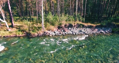 Low Altitude Flight Over Fresh Fast Mountain River with Rocks at Sunny Summer Morning