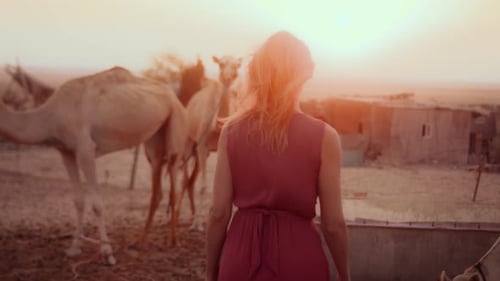 blonde hair female walking in the desert with camels around her in the United Arab Emirates desert A