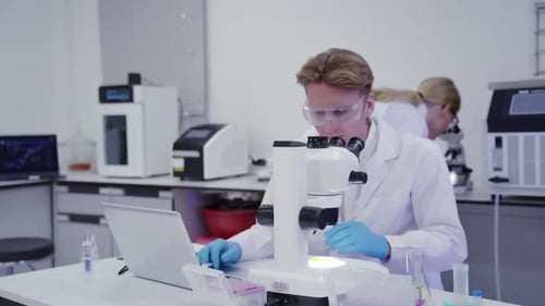 Scientist uses microscope and types on laptop in lab