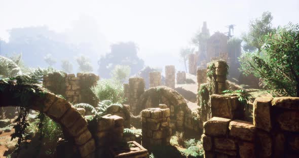 Morning Mist Shrouds Ancient Ruins Amid Lush Greenery, Miscellaneous ...