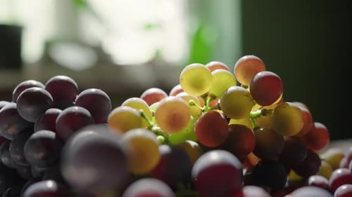 Close Up of Fresh Ripe Grapes on Table