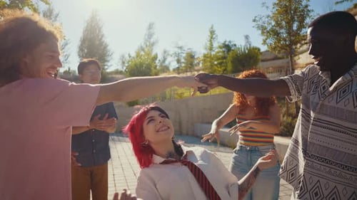 Diverse Friends Celebrating Together in Park