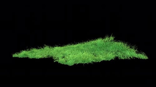 Grass Wind Loop on Alpha 4K.
