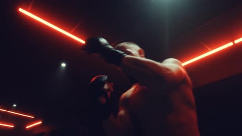 Fight Training