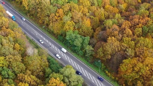 Road with cars in forest. Cars driving up the road through colorful autumn forest.