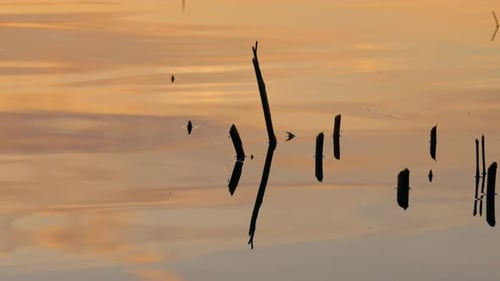 Colorful sunset reflection on water at a lake during sunset. Slow motion waves.
