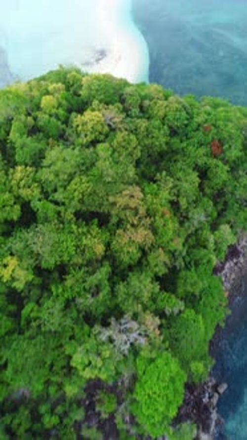 Vertical Drone Footage of Beautiful Tropical Beach with Turquoise Water and White Sand