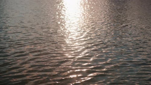 Water flows calmly with the sun reflecting in the water and gives an orange sunshine through the