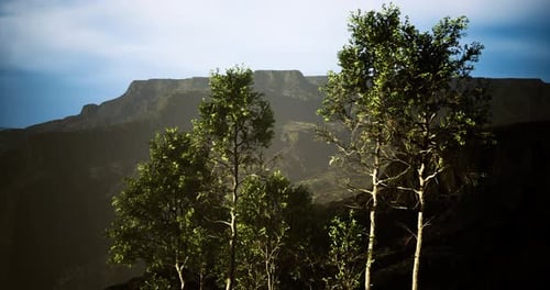 Green Trees Against a Mountain Backdrop on a Clear Sunny Day