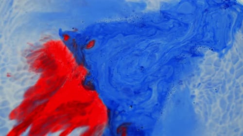 Vibrant Red and Blue Inks Swirling Together