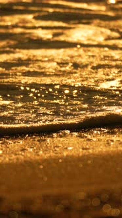 Water Golden Sunset Shimmering Ocean Waves on Sandy Beach at Golden Hour Peaceful Sea Vertical Video
