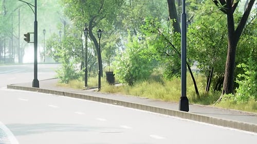 View of Empty Road with Lamp Post and Sunlight