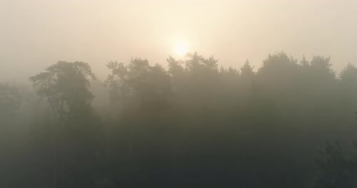 Amanecer brumoso por la mañana