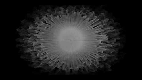 Fluid Ink Reveal Transition Effect