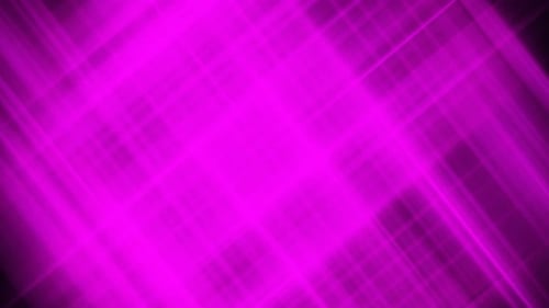 fond violet