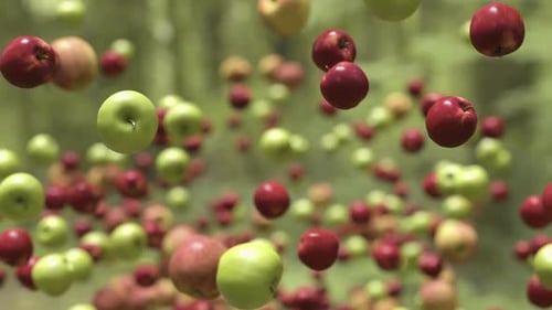 Dynamic Falling Red and Green Apples Animation