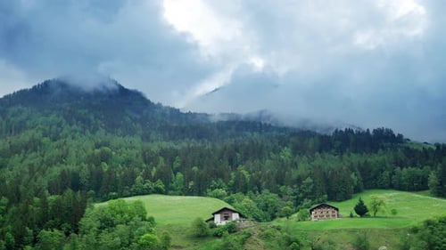 Vue sur les montagnes dans les pins, les nuages flottent près de la montagne.