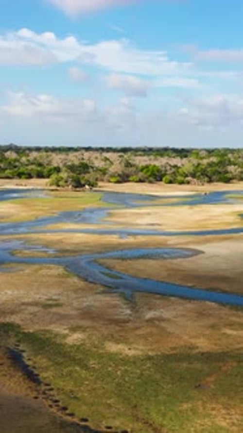 Tropical Landscape with a Lake Sri Lanka