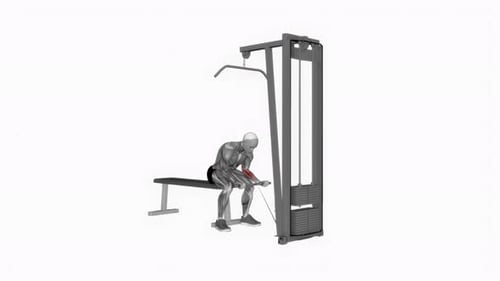 Cable Wrist Curl Fitness-Workout-Animationsvideo für männliche Muskeln, 4K, 60 Bilder pro Sekunde