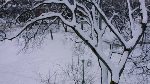 Drone flying over a snow covered tree revealing Montreal in winter