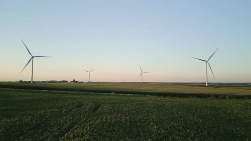 Drone View of a Wind Park with Wind Turbines Standing in a Wheat Field at Sunset