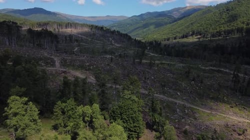 Luftbild: Entwaldung in einem Hügeltalwald in Rumänien, Mitteleuropa - Drohne fliegt vorwärts