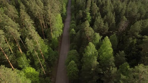 Flight Over The Forest Road On A Sunny Day
