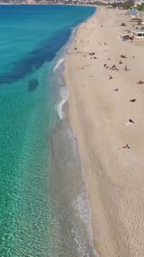 Vertical Video of a White Sand Beach With Sparkling Turquoise Waters and Palm Trees in the