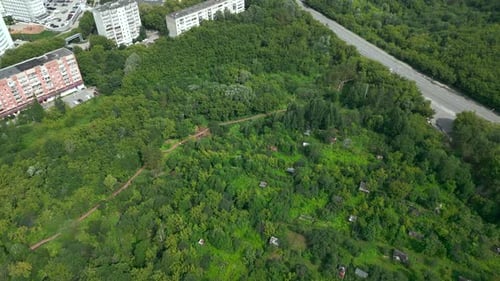 Aerial View of Forest Park and Residential Buildings Clip