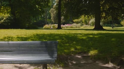 Camera panning over an empty bench at the center of a park on a bright sunny day.