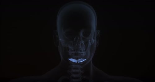 Futuristic 3D X-Ray Scan of Human Jaw Anatomy