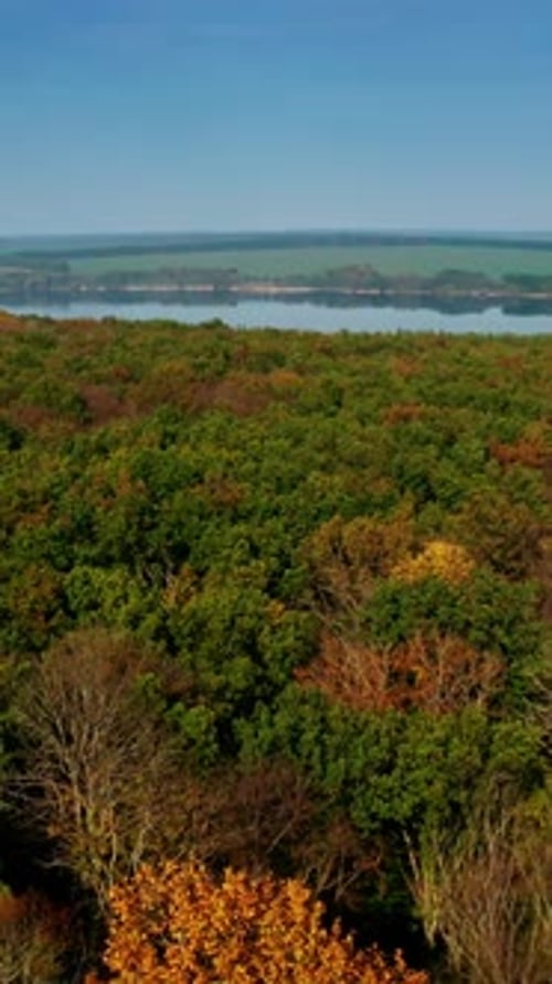 Amazing colorful foliage on river background. Green, red and yellow trees of the forest.