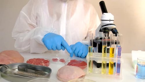 Lab Technician Inspects Raw Meat Samples