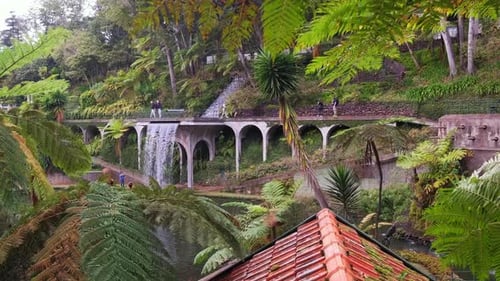Slow motion shot of tropical botanical garden with palm trees and waterfall. Dolly forward shot.