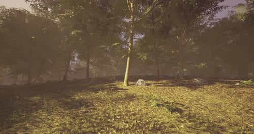 Sunlight Filters Through Trees in a Serene Forest Landscape During Golden Hour