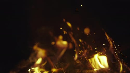 Cinematic campfire in the forest