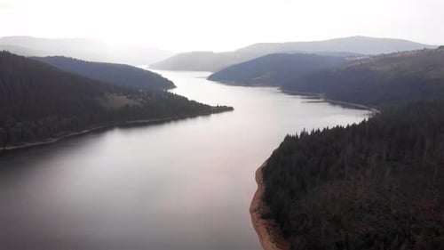 Aerial Footage of Large Lake and mountains surrounded by Pine Forest