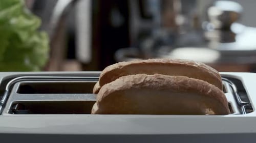 Bread Being Placed Into Toaster in Kitchen