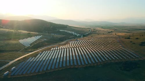 Solar Panels Stand in a Row in Green Energy Zero Emission at Sunrise