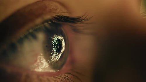 Weihnachtslichter spiegeln sich im Auge