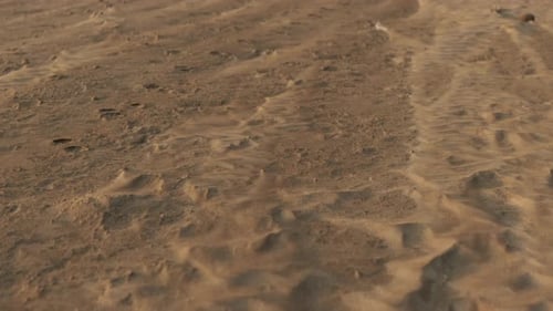 Sandrennen entlang eines Sandstrandes