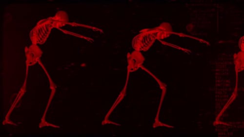 Skeleton Zombie Walkers Loop