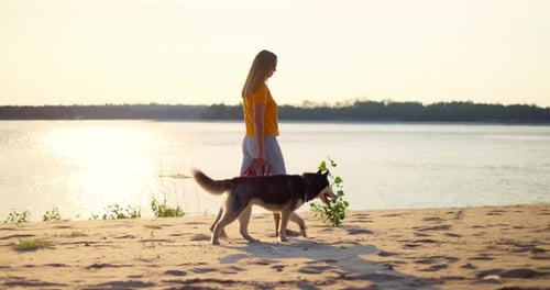 Young Woman Enjoying Evening Walk with Her Pet Dog on the Beach in Summer